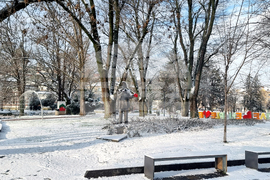 Плевен - сняг - зимна обстановка