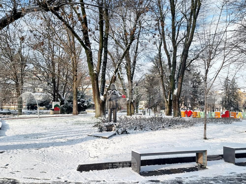 Плевен - сняг - зимна обстановка