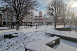 Плевен - сняг - зимна обстановка