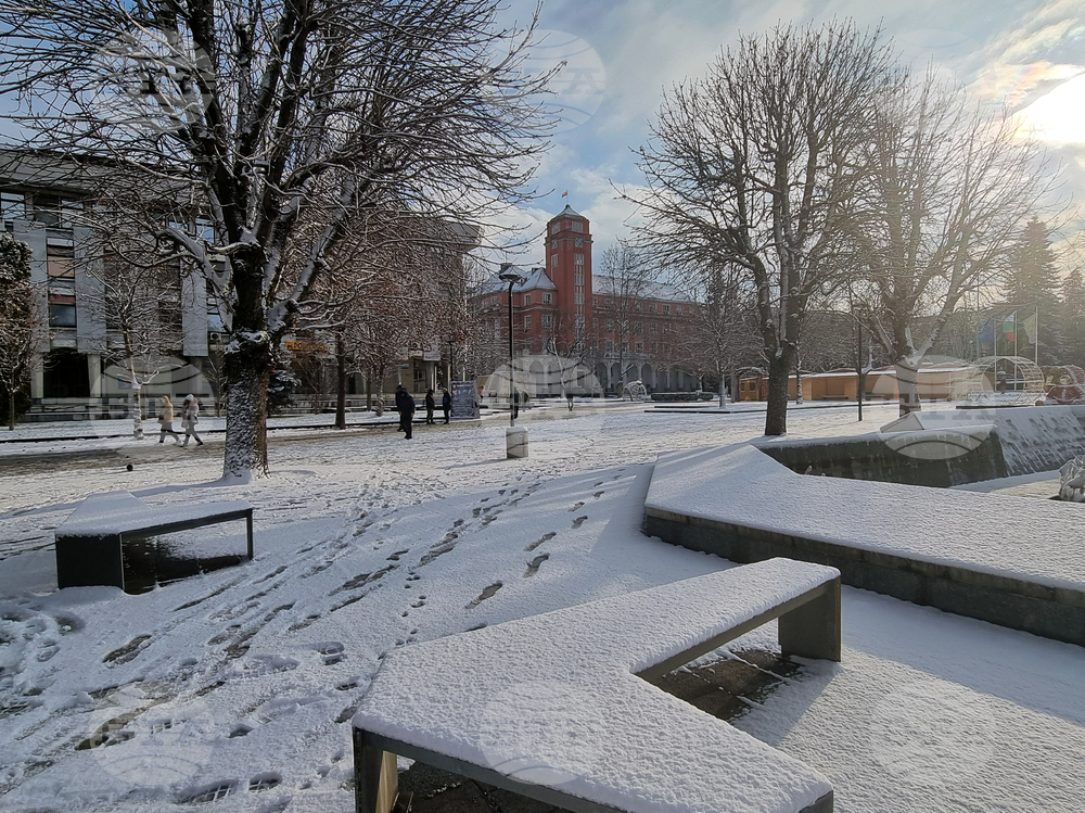 Плевен - сняг - зимна обстановка