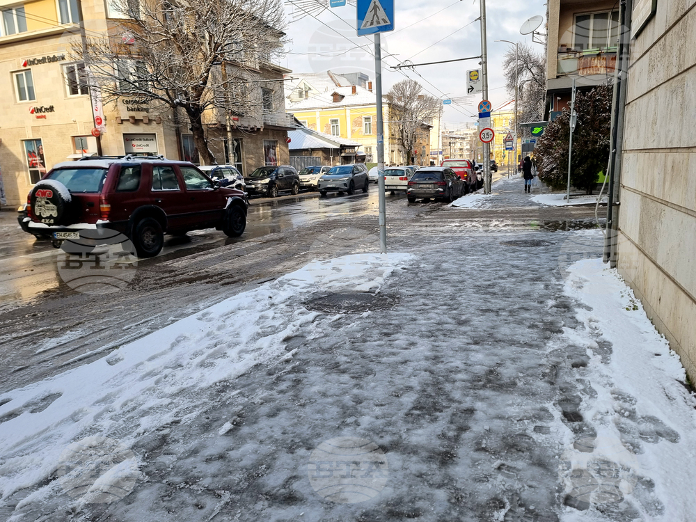 Плевен - сняг - зимна обстановка