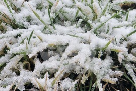 Благоевград - зимна обстановка