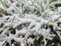 Благоевград - зимна обстановка