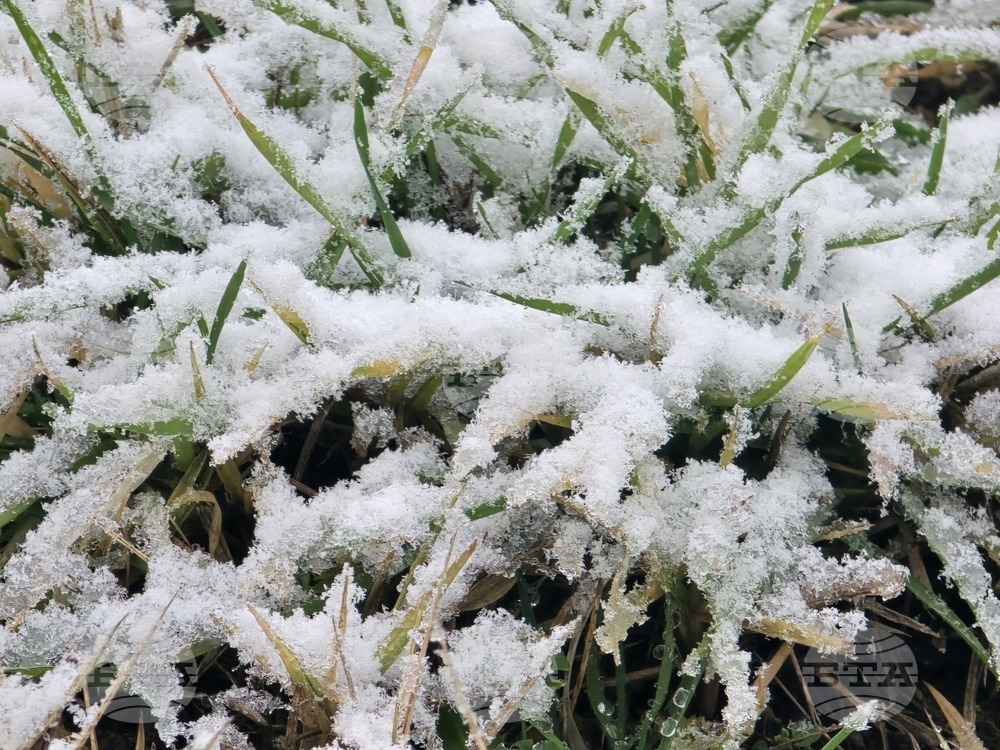 Благоевград - зимна обстановка