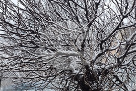 Благоевград - зимна обстановка