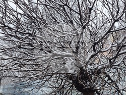 Благоевград - зимна обстановка