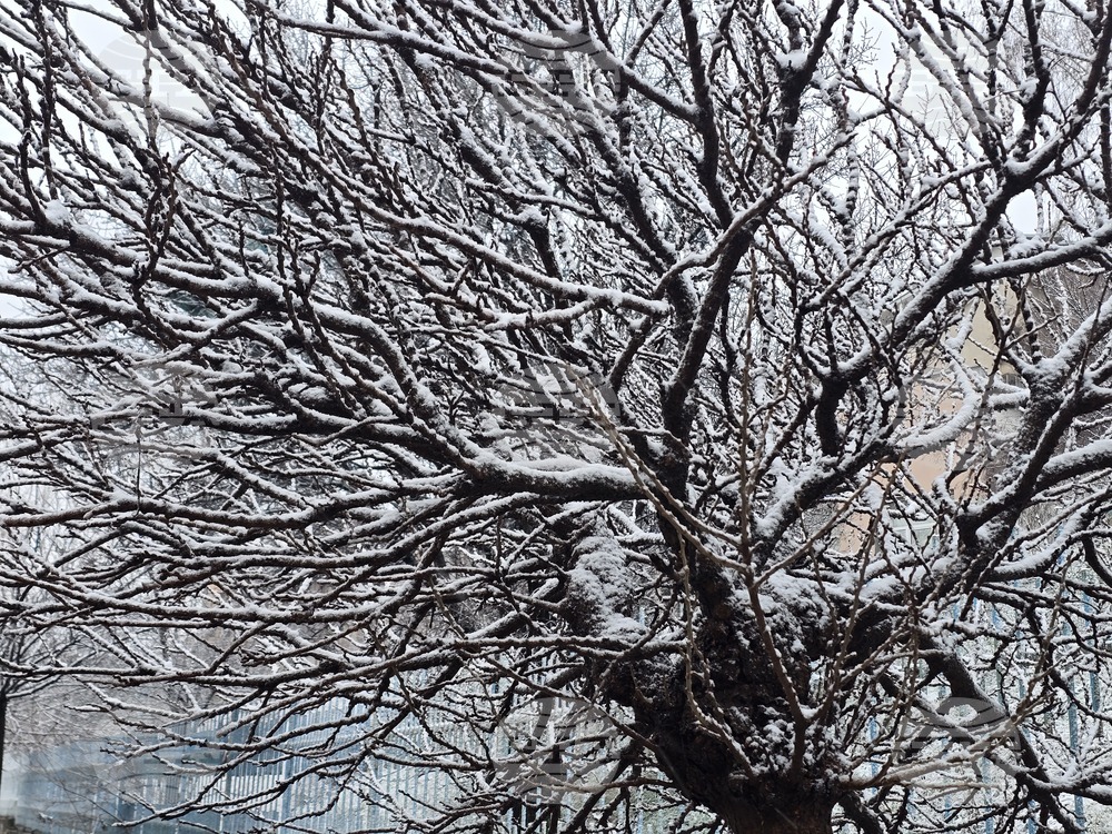 Благоевград - зимна обстановка