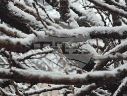 Благоевград - зимна обстановка