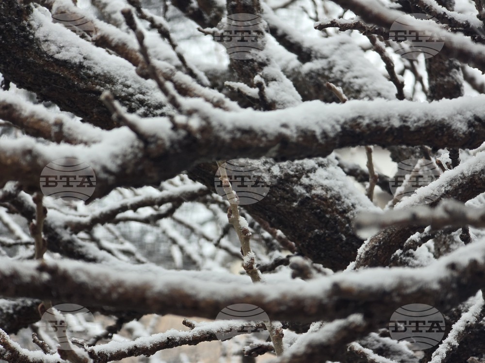 Благоевград - зимна обстановка