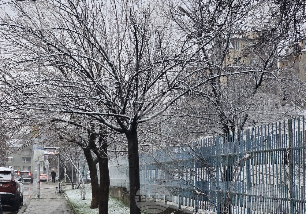 Благоевград - зимна обстановка