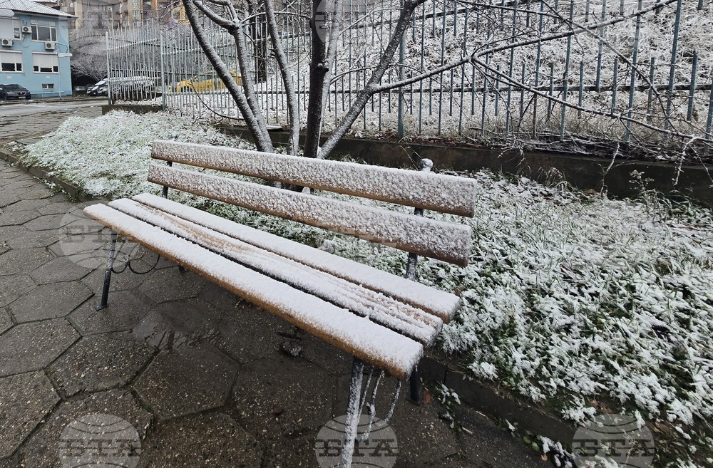 Благоевград - зимна обстановка