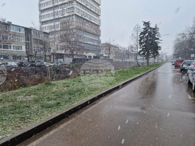 Пътната обстановка в Разградска област се усложнява заради снегонавявания и заледявания, съобщиха от полицията 