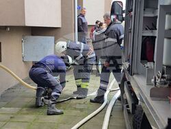 Крумовград - валежи - обстановка