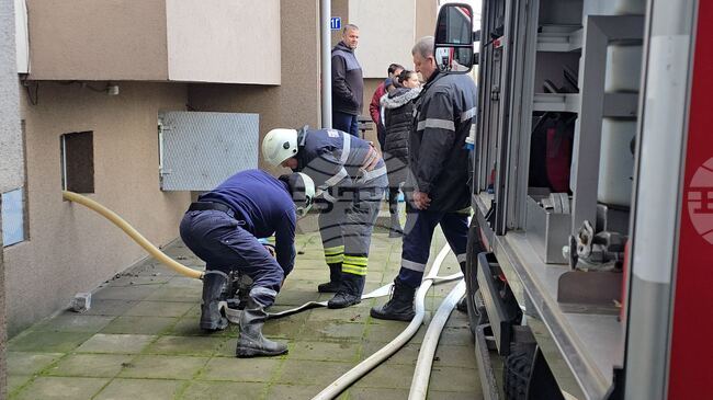 В пожарната са постъпили 14 сигнала за паднали дървета и наводнени помещения в страната 