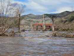 Крумовград - валежи - обстановка