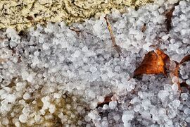 Бургас - дъжд - суграшица