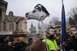 France Farmers Mercosur