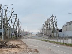 Ямбол - ремонт - надлез