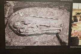 Румъния - злато - изложба