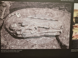 Румъния - злато - изложба