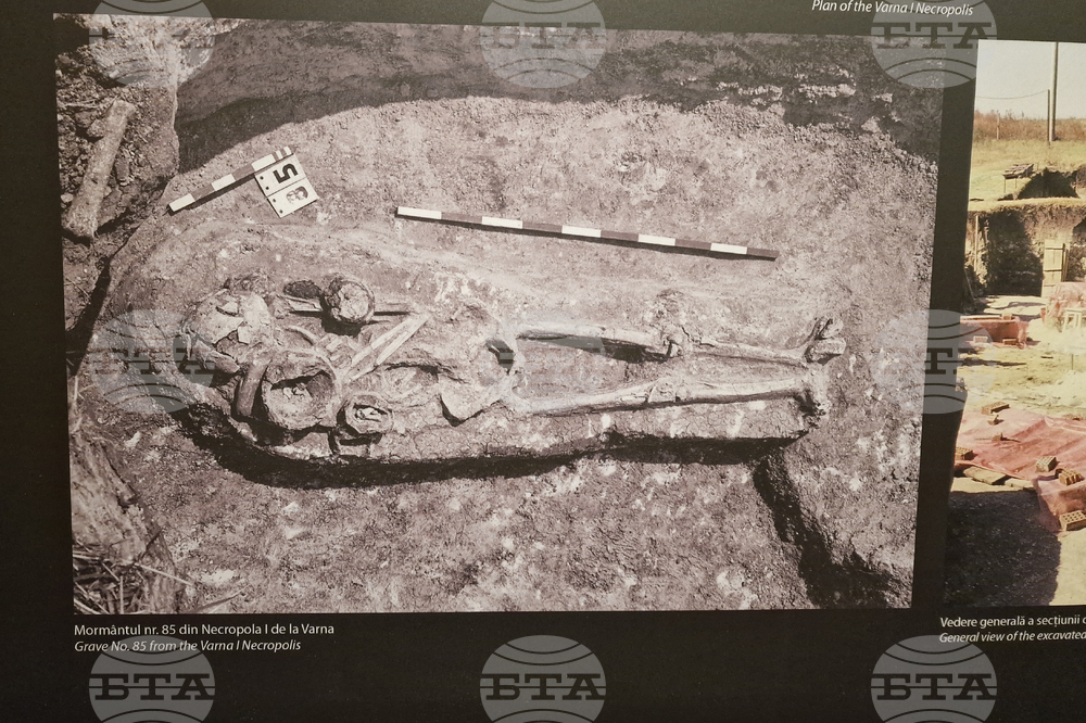 Румъния - злато - изложба