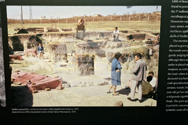 Румъния - злато - изложба