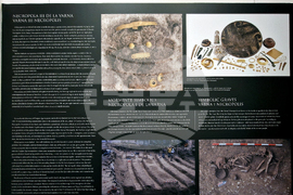 Румъния - злато - изложба