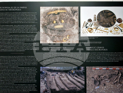 Румъния - злато - изложба