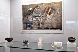 Румъния - злато - изложба