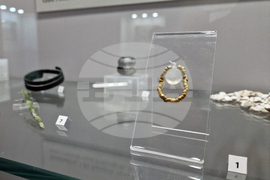 Румъния - злато - изложба