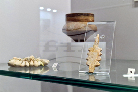 Румъния - злато - изложба