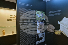 Румъния - злато - изложба