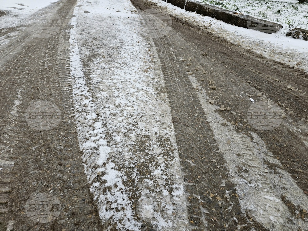 Всички пътища в Русенско са проходими, в едно населено място има проблеми с електрозахранването
