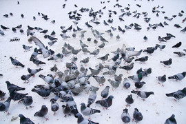 Germany Extreme Weather