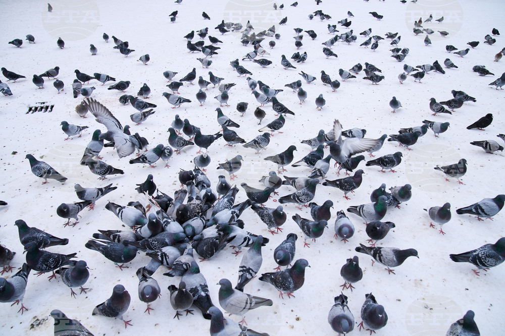 Germany Extreme Weather