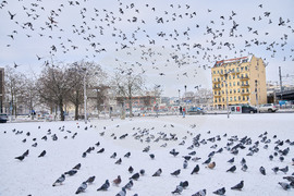 Germany Extreme Weather