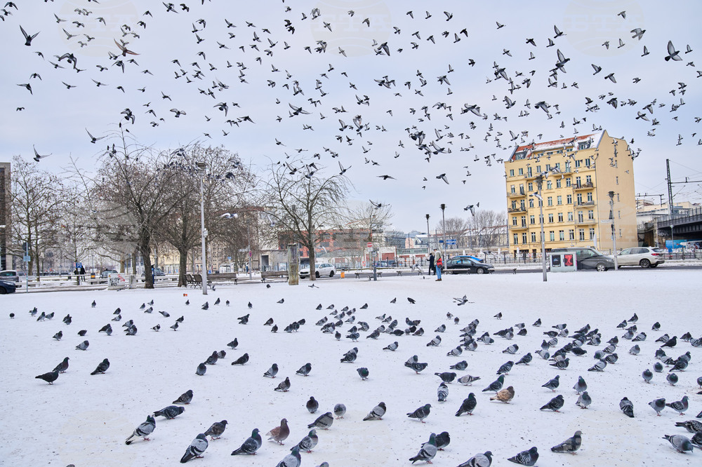Germany Extreme Weather