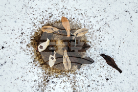 APTOPIX Germany Extreme Weather