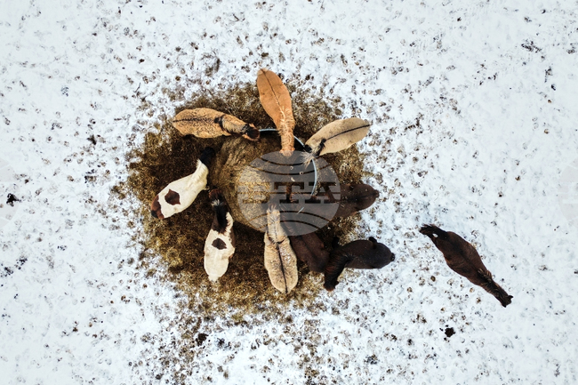 APTOPIX Germany Extreme Weather