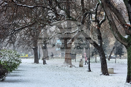 Варна - сняг