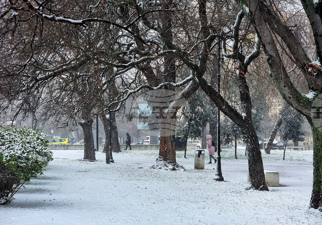 Варна - сняг