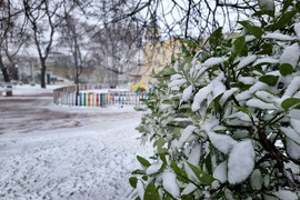 Варна - сняг