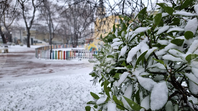 Orange Code for Four Regions, Yellow Code for 19 Regions Issued for Sunday