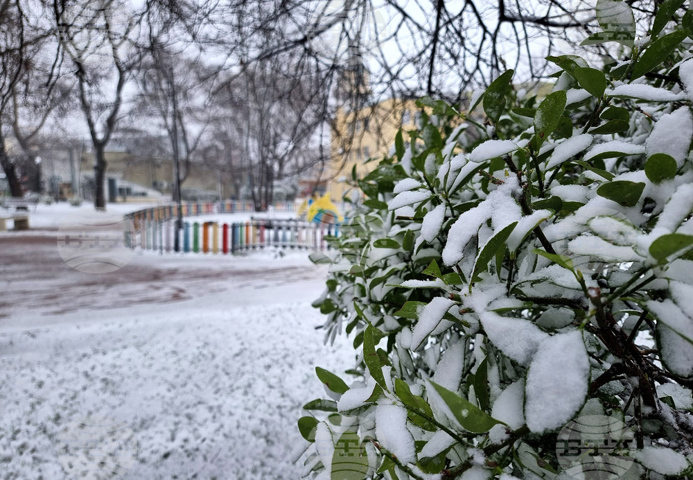 Варна - сняг