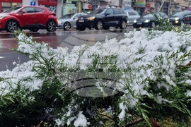 Румъния - Букурещ - зимна обстановка