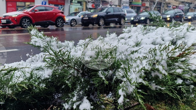 Румъния - Букурещ - зимна обстановка