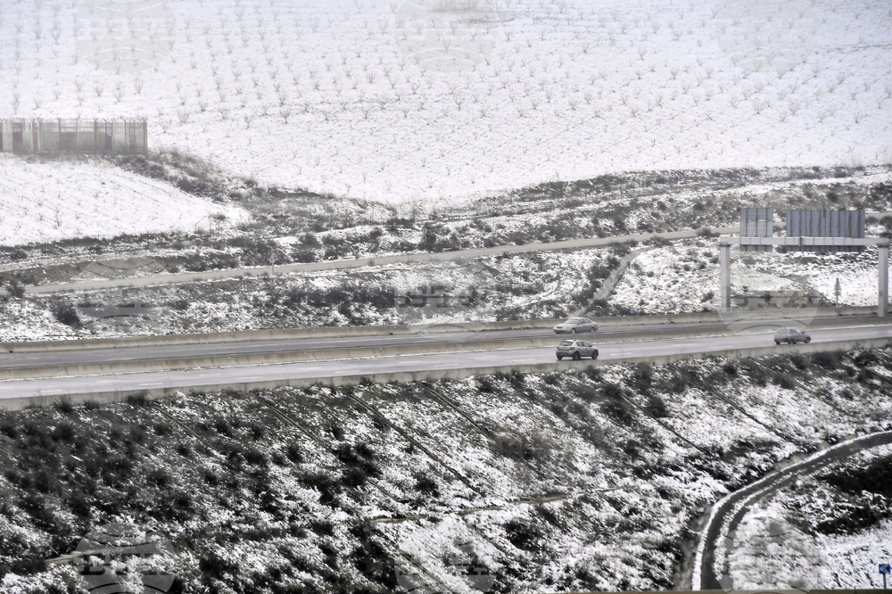 Algeria Extreme Weather