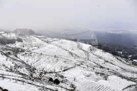 Algeria Extreme Weather