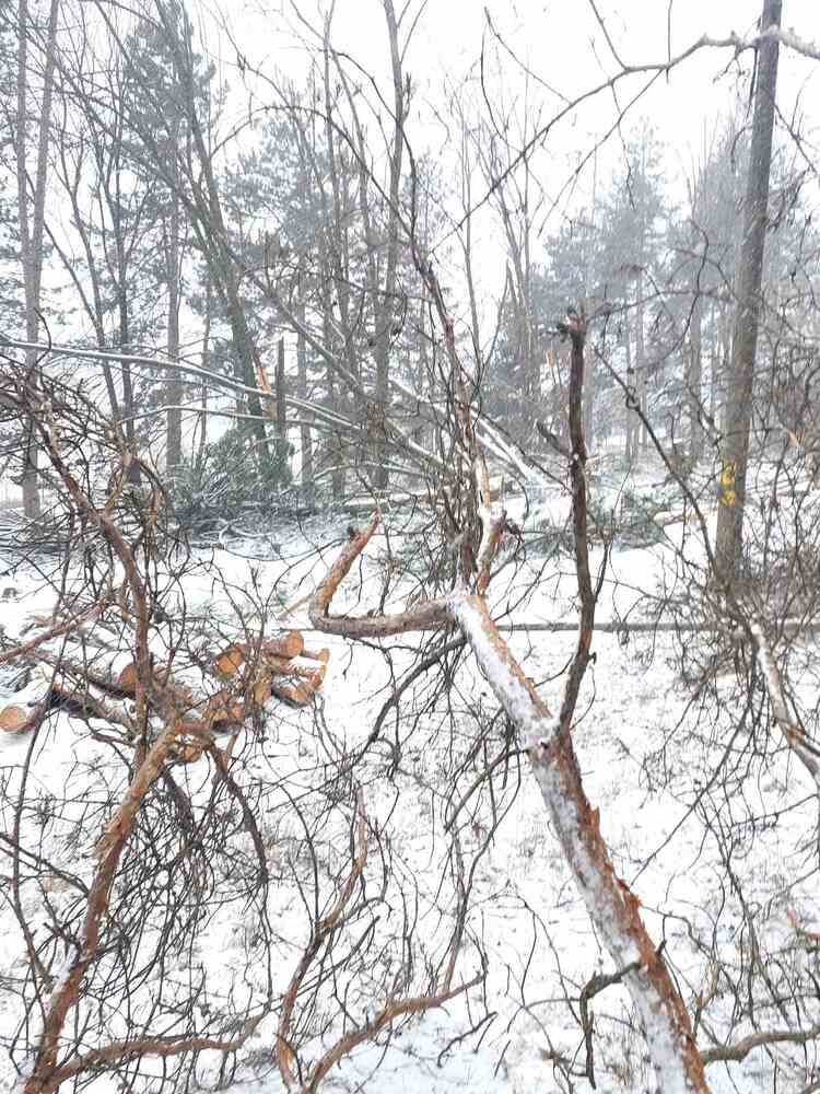 Областна администрация Русе: Временно затвориха за камиони пътя Русе – Бяла, има проблеми с електрозахранваето в редица населени места в Русенско 