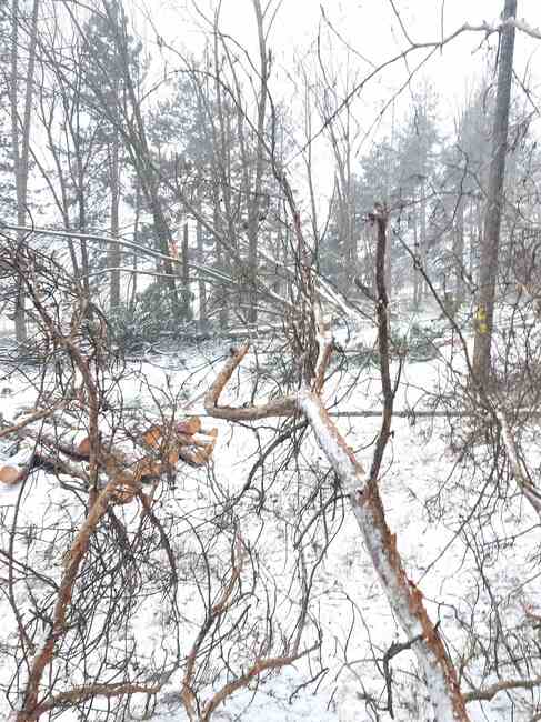 Областна администрация Русе: Временно затвориха за камиони пътя Русе – Бяла, има проблеми с електрозахранваето в редица населени места в Русенско 